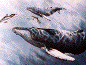 Whale Art