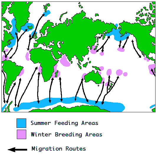 Migration Map