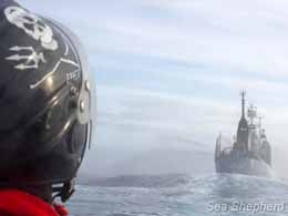 Sea Shepherd - Antarctic Whaling - Japan Whaling