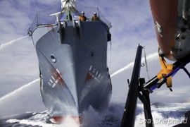 Japan Antarctic Whaling - Japan Whaling