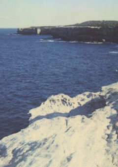 Cape Solander Looking South